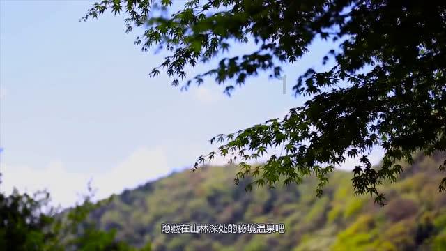 事关春运，黑龙江省省召开电视电话会议！
