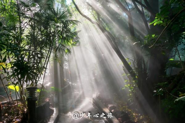 淘气兔救援