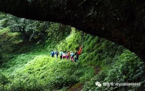 生化危机启示录2