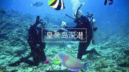 海南敦朴私募基金管理违反投资限制等规定,被出具警示函