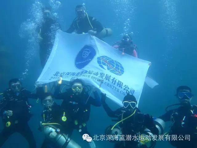 翻转吧，苹果虫