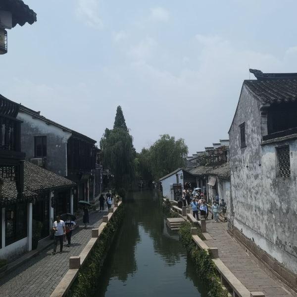 小猫钓鱼游戏龙王版有船