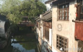 做实“林长制”筑牢古树保护防线