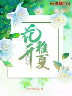 狂打小飞机