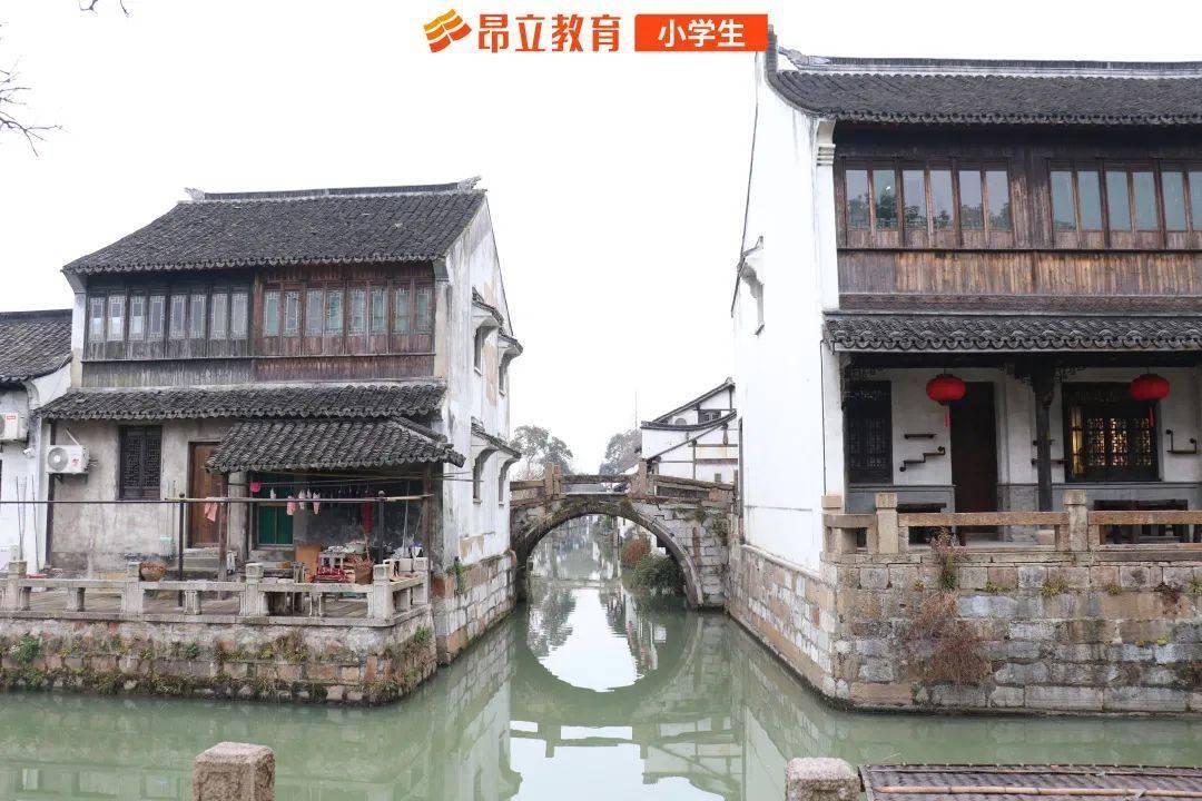 防脱发洗发水真的有用吗?后悔没早点知道